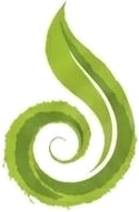 Moriveda Leaf Logo