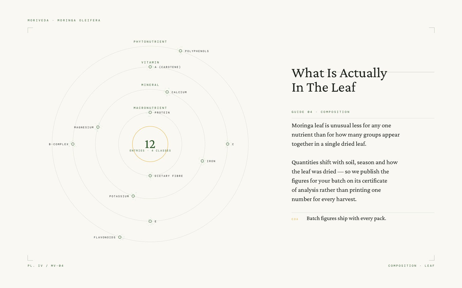 Diagram mapping the nutrient classes present in moringa leaf
